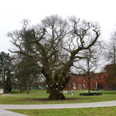 Picture8